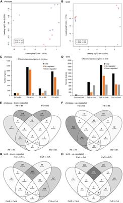 Genome-wide transcript expression analysis reveals major chickpea and lentil genes associated with plant branching